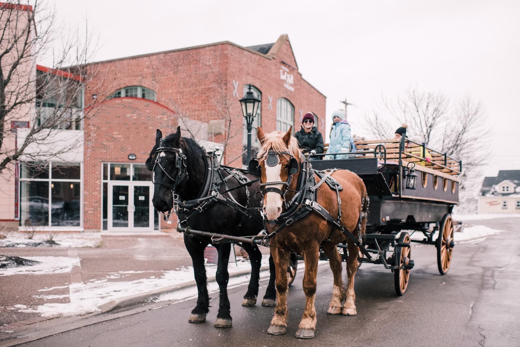 Emerald Isle Carriage Tours