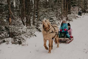 Emerald Isle Carriage Tours