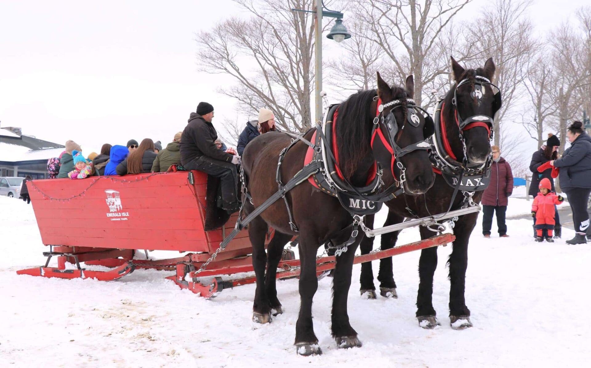 Emerald Isle Carriage Tours
