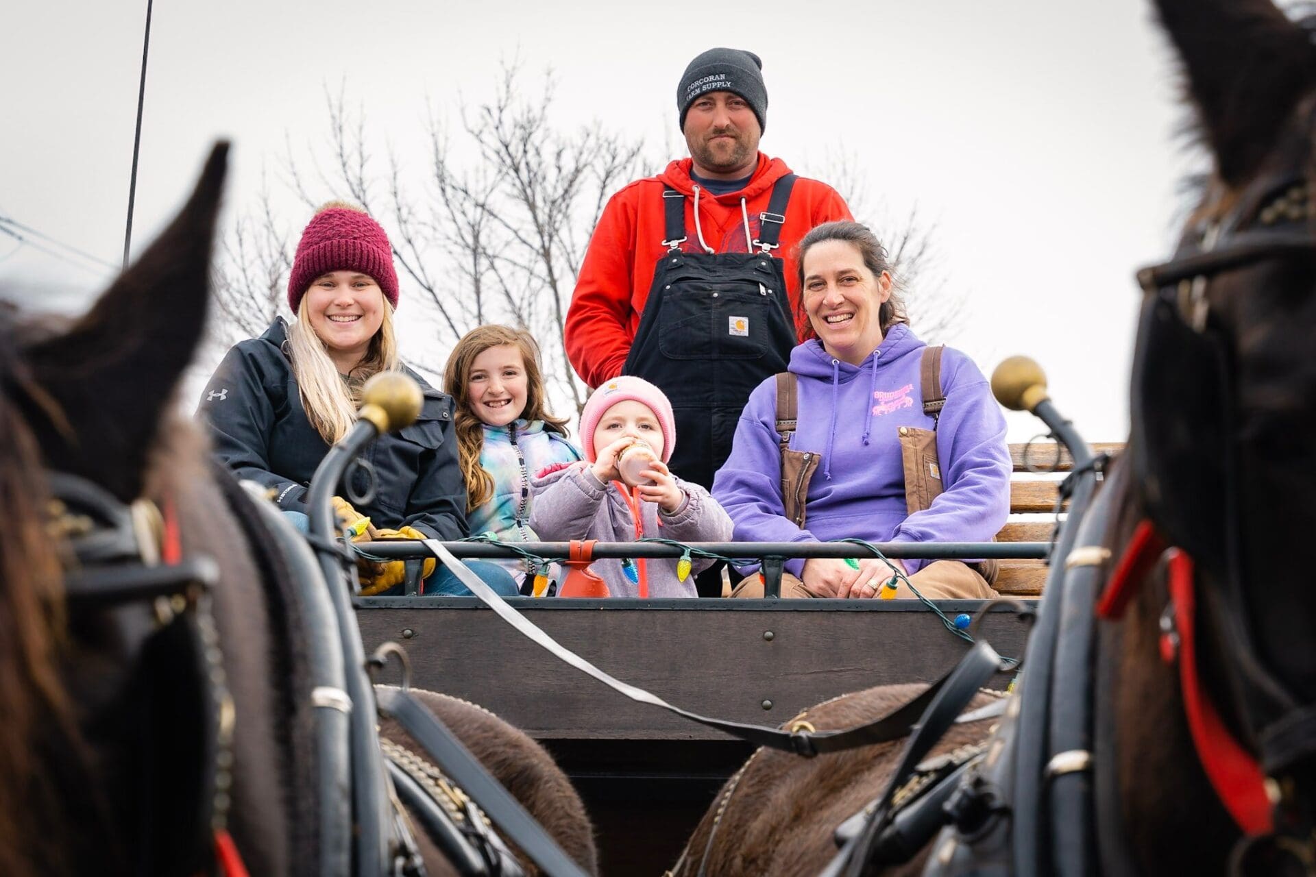 Emerald Isle Carriage Tours